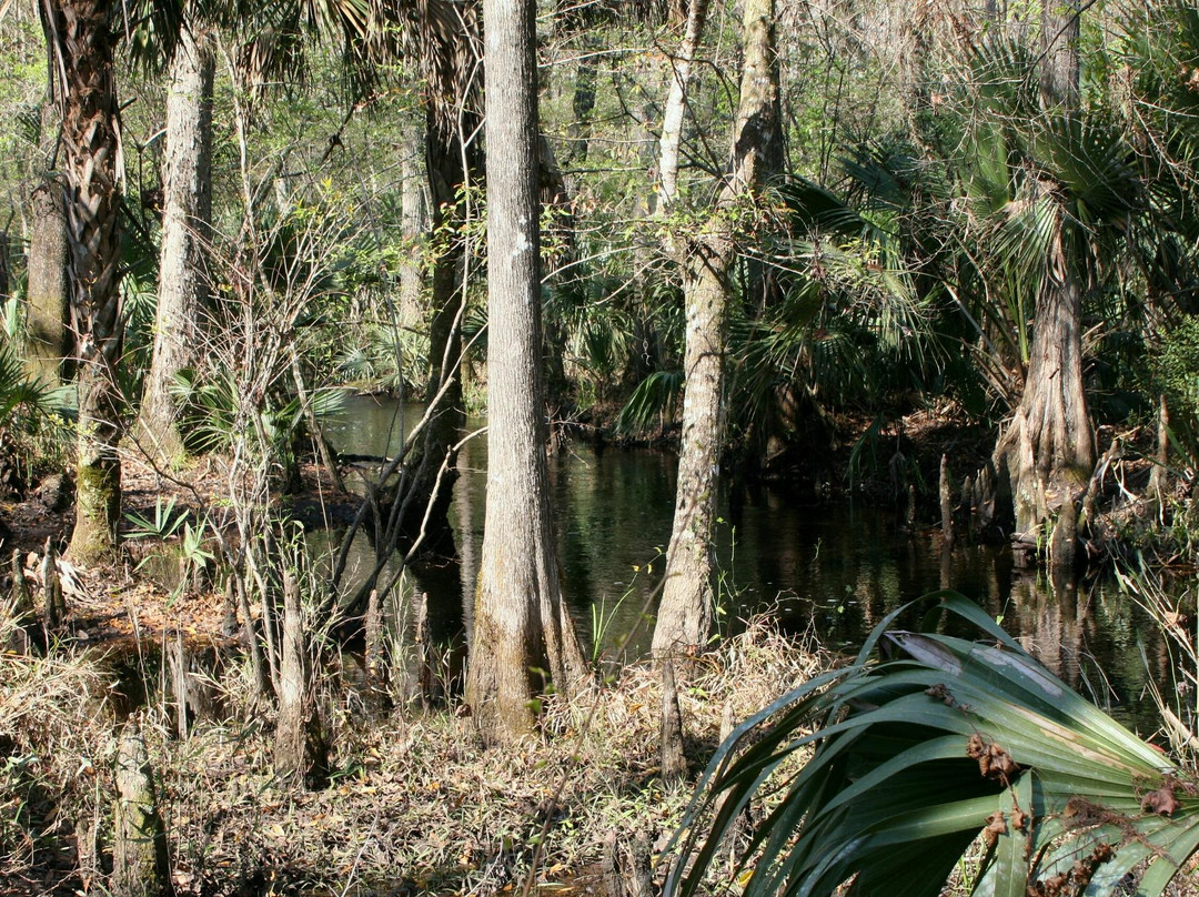Rice Creek Conservation Area景点图片