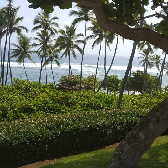 Orchid Bay Ocean Front Estates