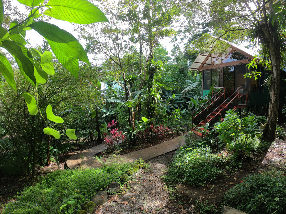 Casitas Tenorio B&B主图