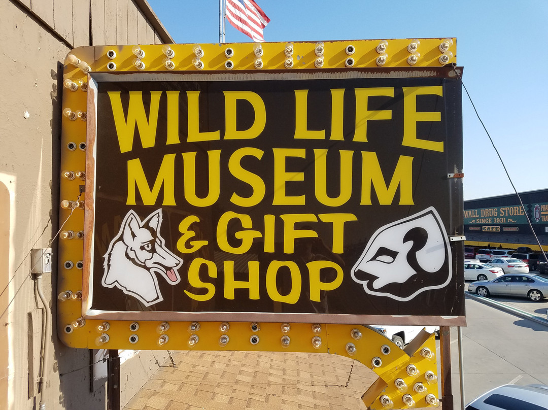 Wildlife Museum & Gift Shop景点图片