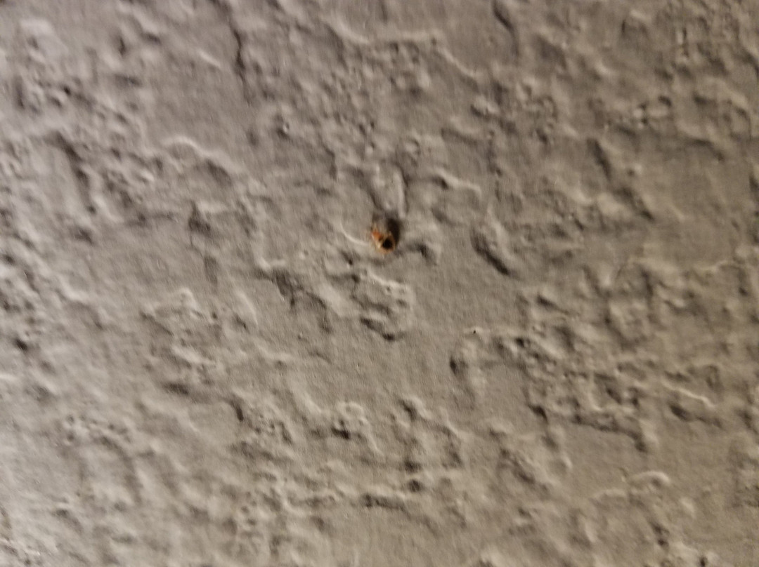 Baymont by Wyndham Decatur主图