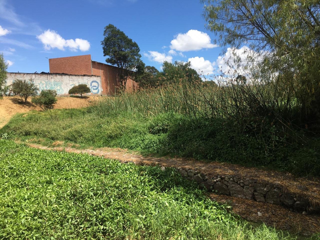 Soacha旅游景点-Humedal la Vaca