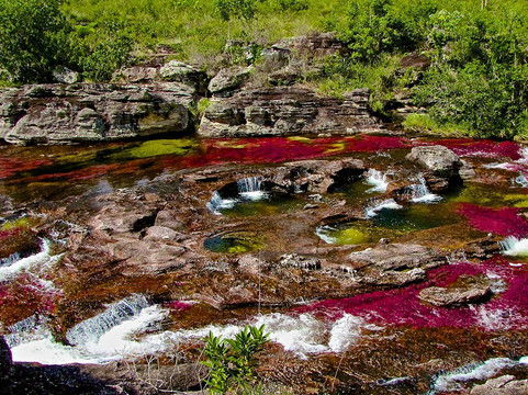 Colombia Oculta-波哥大必去景点