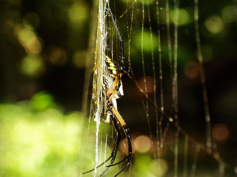 The Espada Aqueduct-圣安东尼奥市必去景点