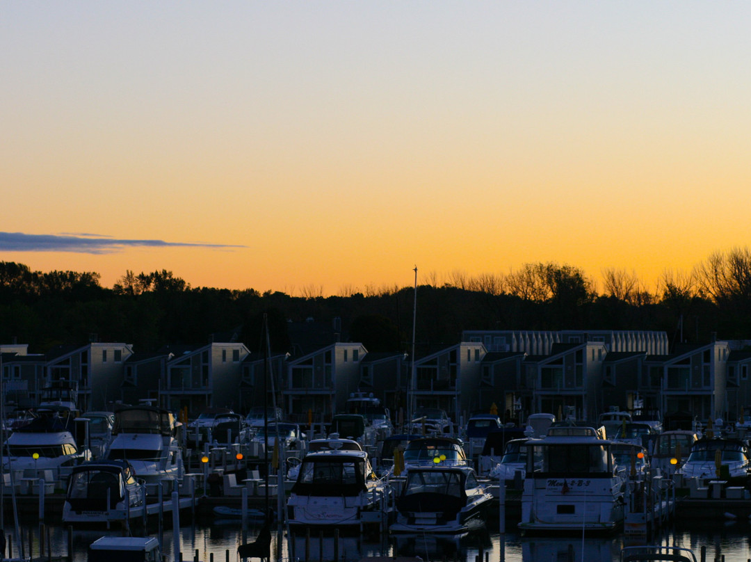 Marina Grand Resort主图