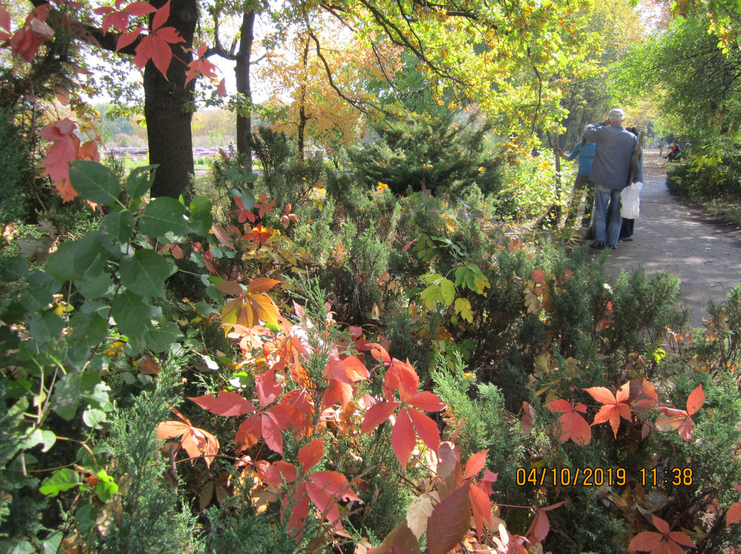 Donetsk Botanical Garden-顿涅茨克必去景点