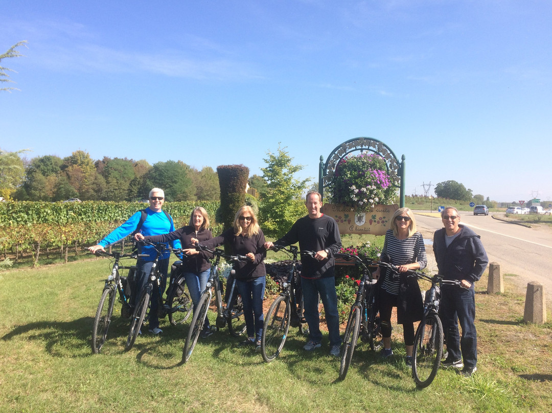 Colmar Bike Tours景点图片