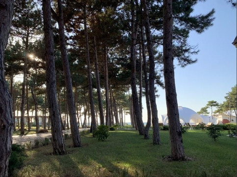 Alma Park Resort主图