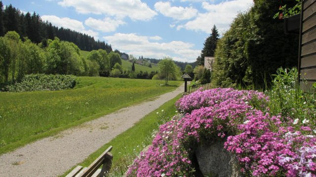 Hotel Schwarzwaldtanne主图