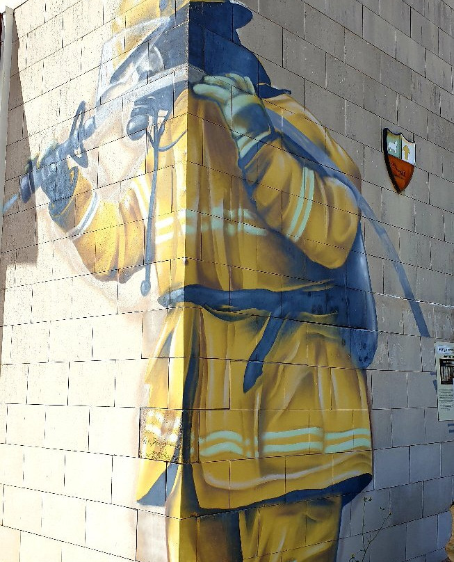 Murtoa旅游景点-Rupanyup Silo Art