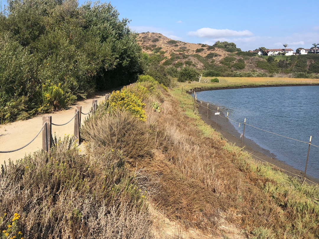 San Elijo Lagoon Ecological Reserve景点图片