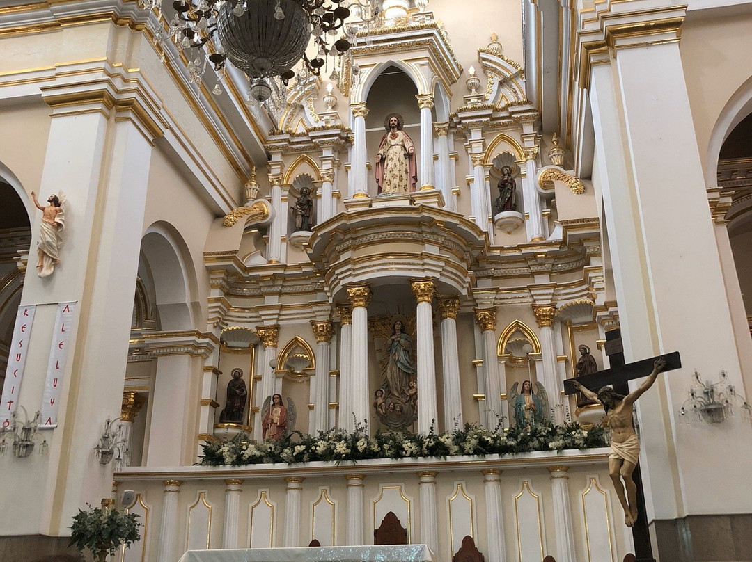 Catedral Metropolitana de Hermosillo景点图片