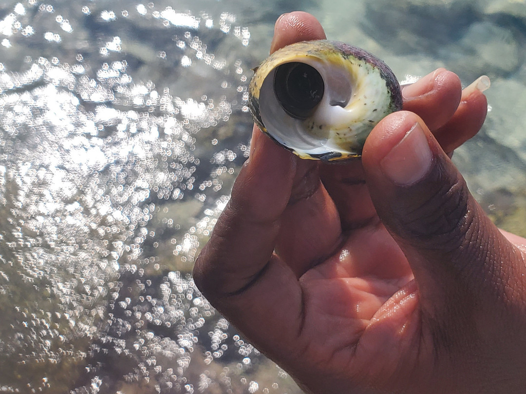 Rodgers Beach-San Nicolas必去景点