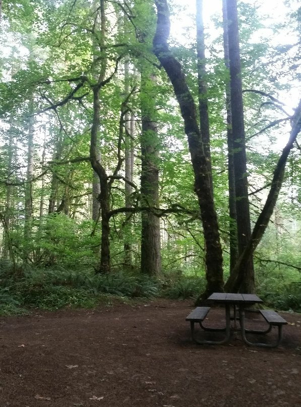 Seaquest State Park景点图片