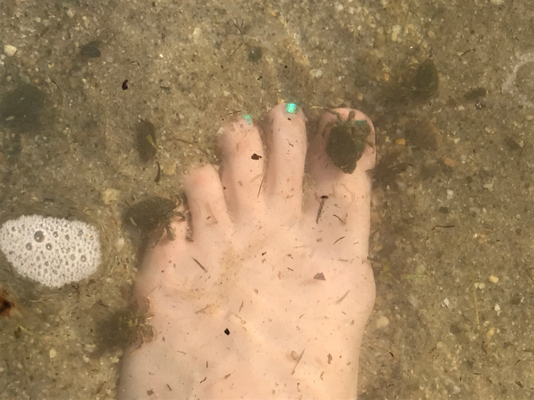 Ocean Beach Park-Waterford必去景点