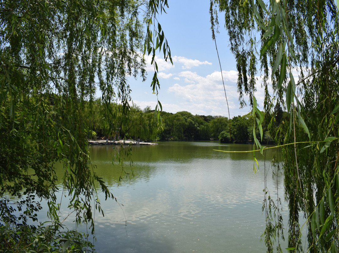 北京大学景点图片