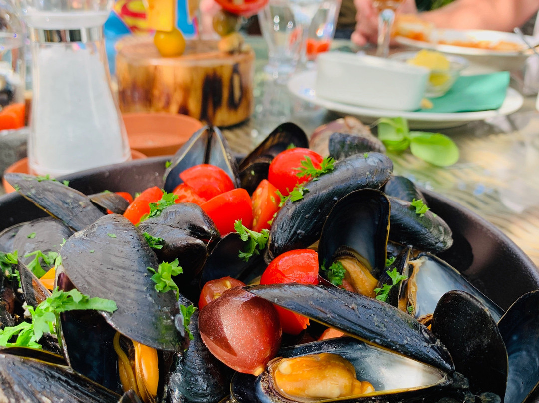 Reykjanes Tours-凯夫拉维克必去景点