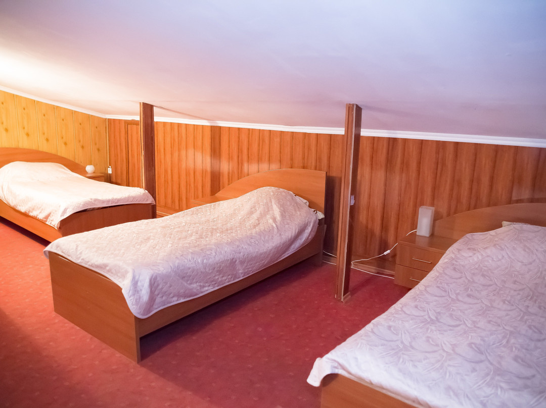 Gostinitsa Yevropa主图