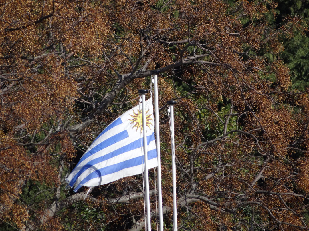 Bastion de San Pedro-科洛尼亚·德尔萨克拉门托城必去景点