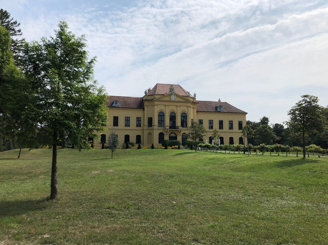 Schloss Eckartsau景点图片