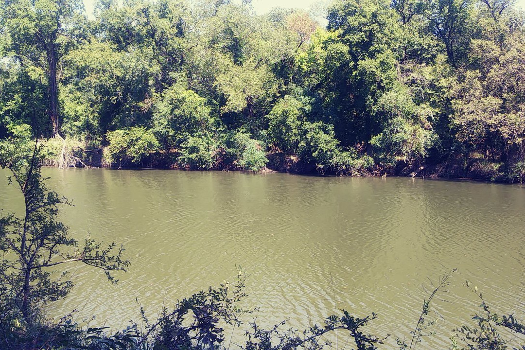 Fort Worth Nature Center & Refuge-沃思堡必去景点