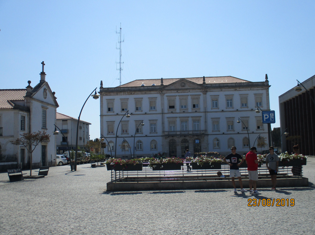 Zodíaco na Calçada Portuguesa-阿威罗必去景点