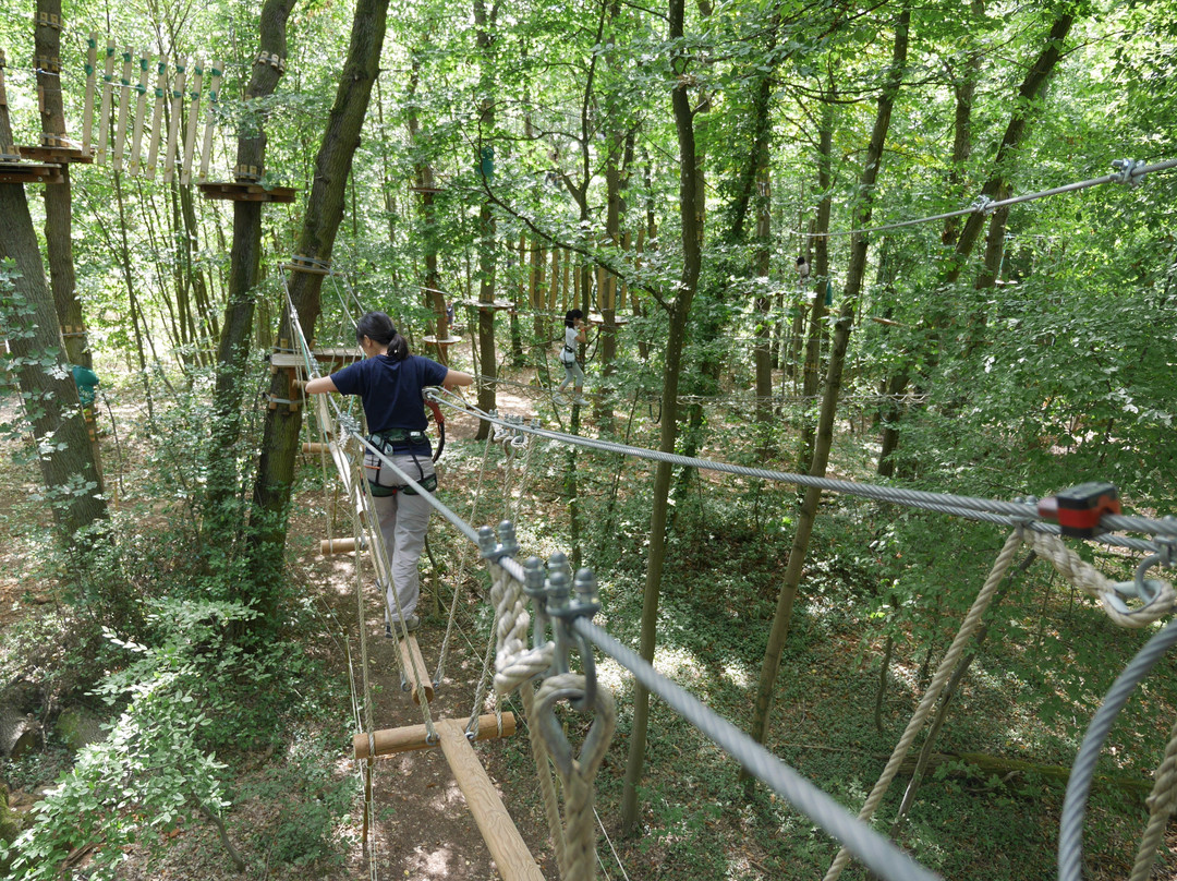 AccroCamp Forêt de Meudon景点图片