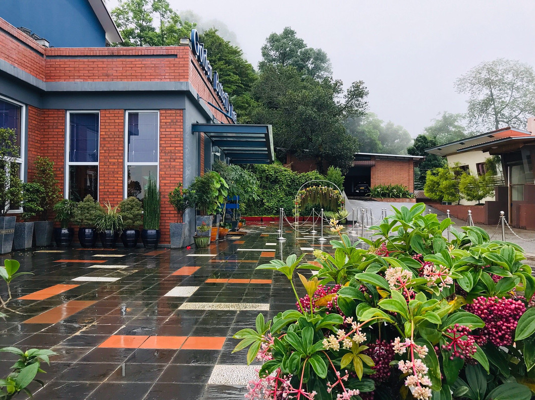 Golden Butterfly Hotel Mogok - Burmese Only主图