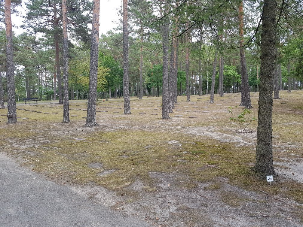 Kriegsgräeberstäette Waldfriedhof Halbe景点图片