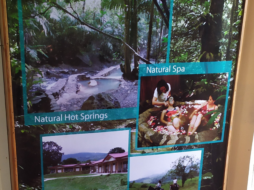 Termales del Bosque Hot Springs-San Rafaeillo必去景点
