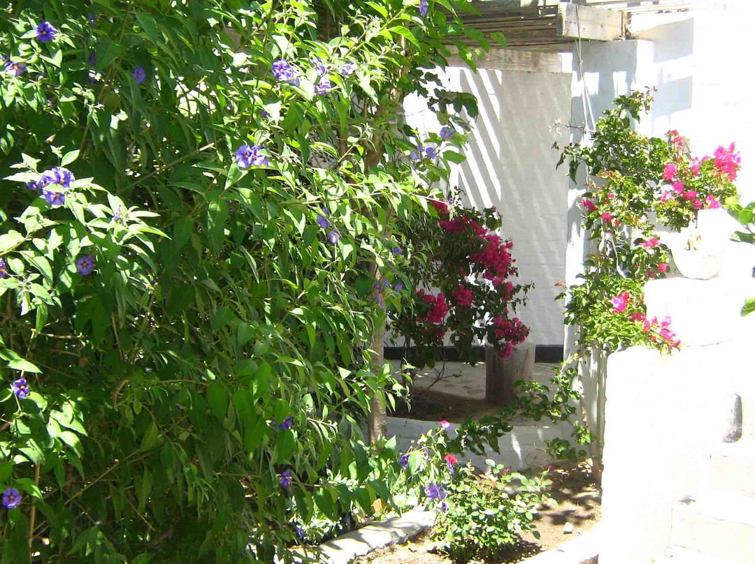 Alternative Space B & B主图