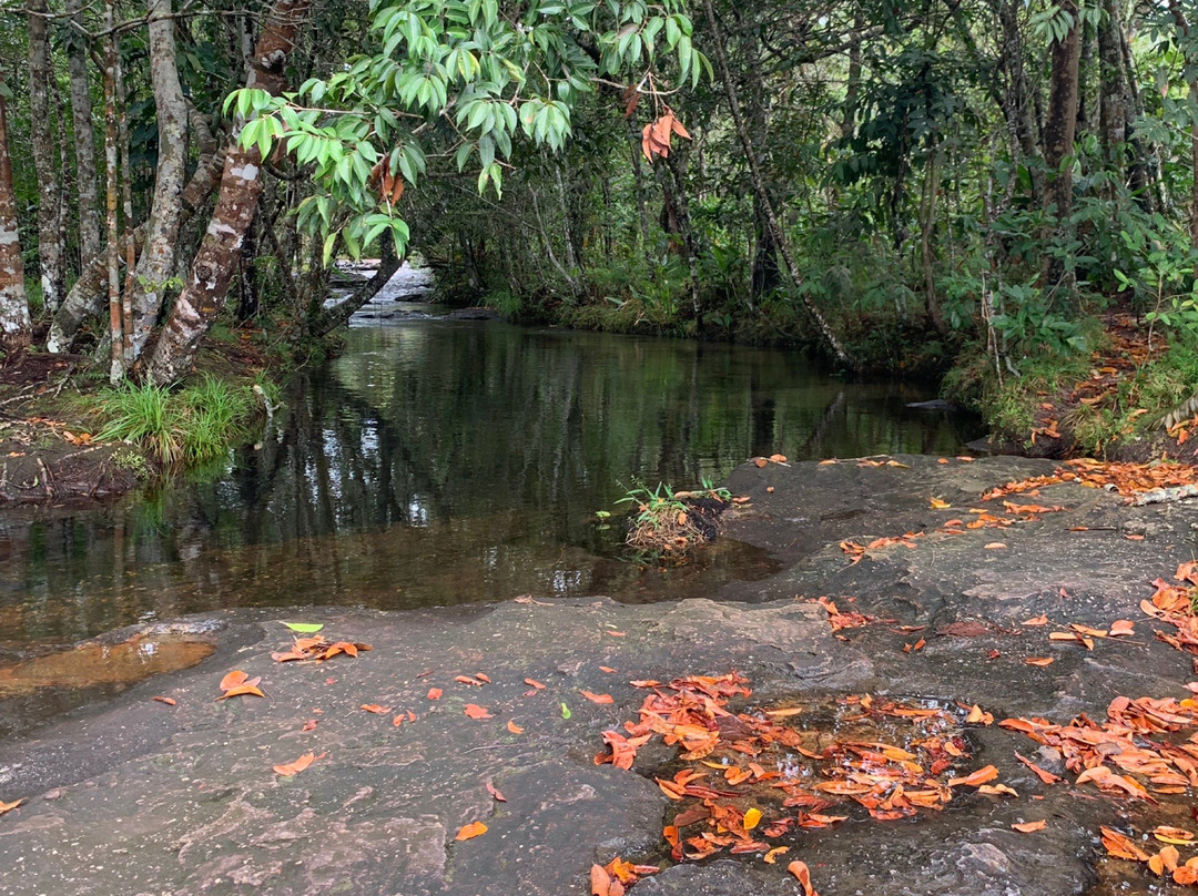 Jardin Botanico de la Macarena-La Macarena必去景点