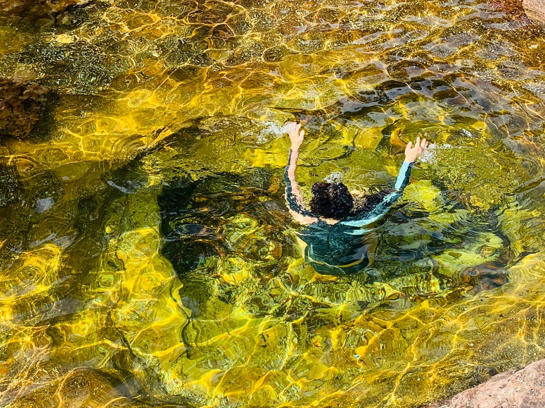 Jardin Botanico de la Macarena-La Macarena必去景点