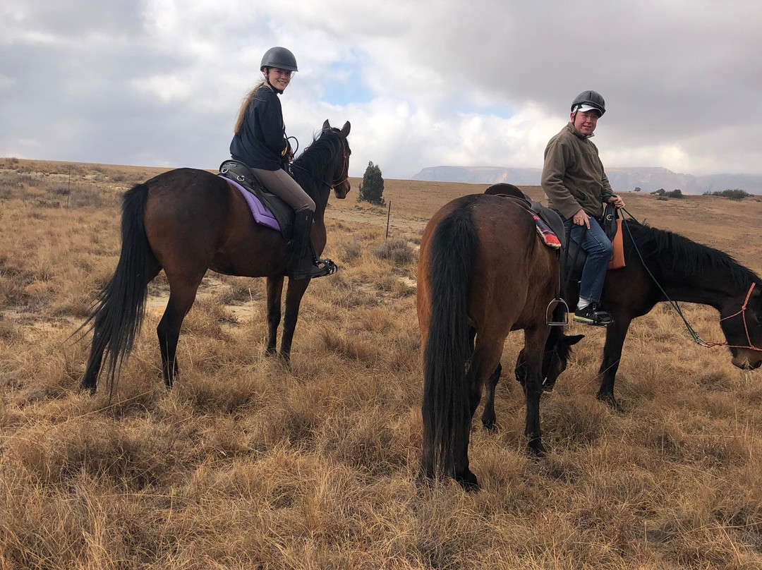 Sterkfontein Dam Nature Reserve-哈利史密斯必去景点