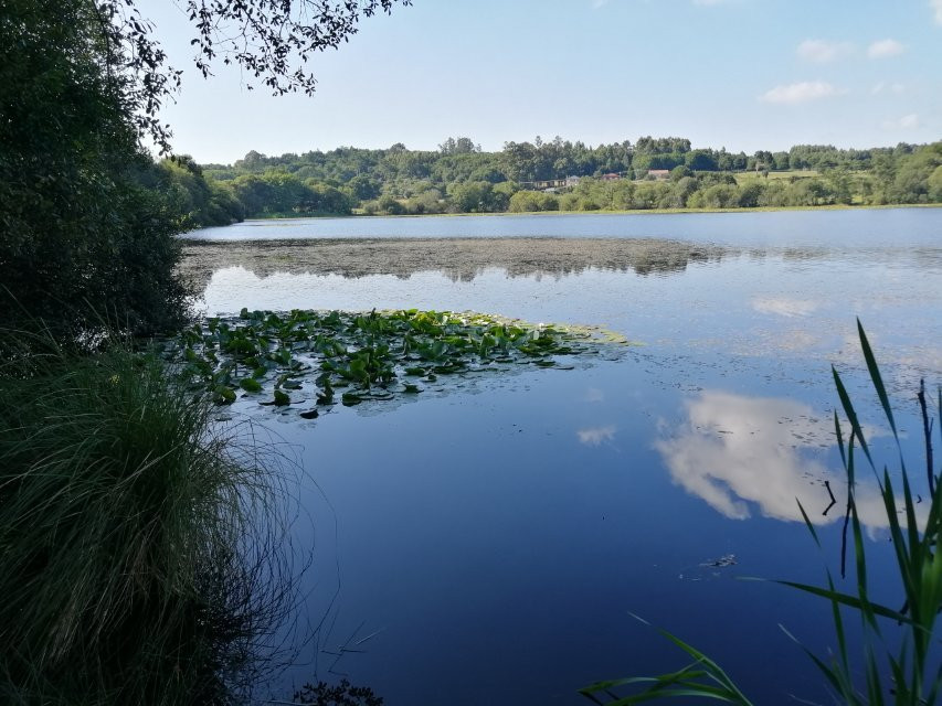 Lagoa de Sobrado景点图片
