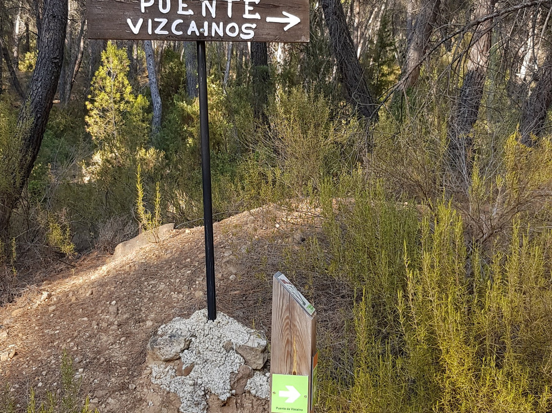 Puente de Vizcaino景点图片