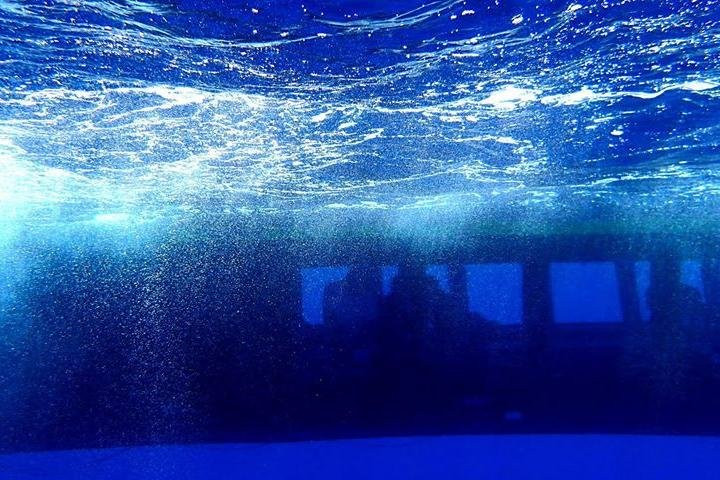 Yellow Submarine Kefalonia景点图片