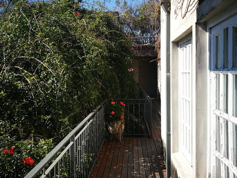 巴勒摩艾雅出租公寓主图