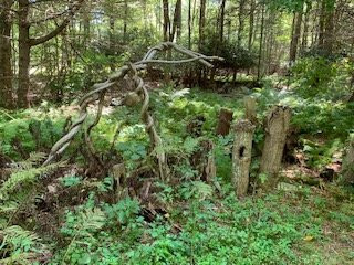 James L. Goodwin State Forest-Hampton必去景点