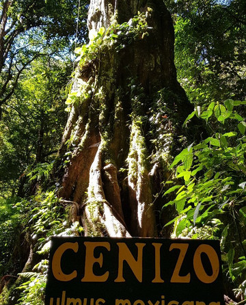 Panama Pathfinders-波魁特必去景点