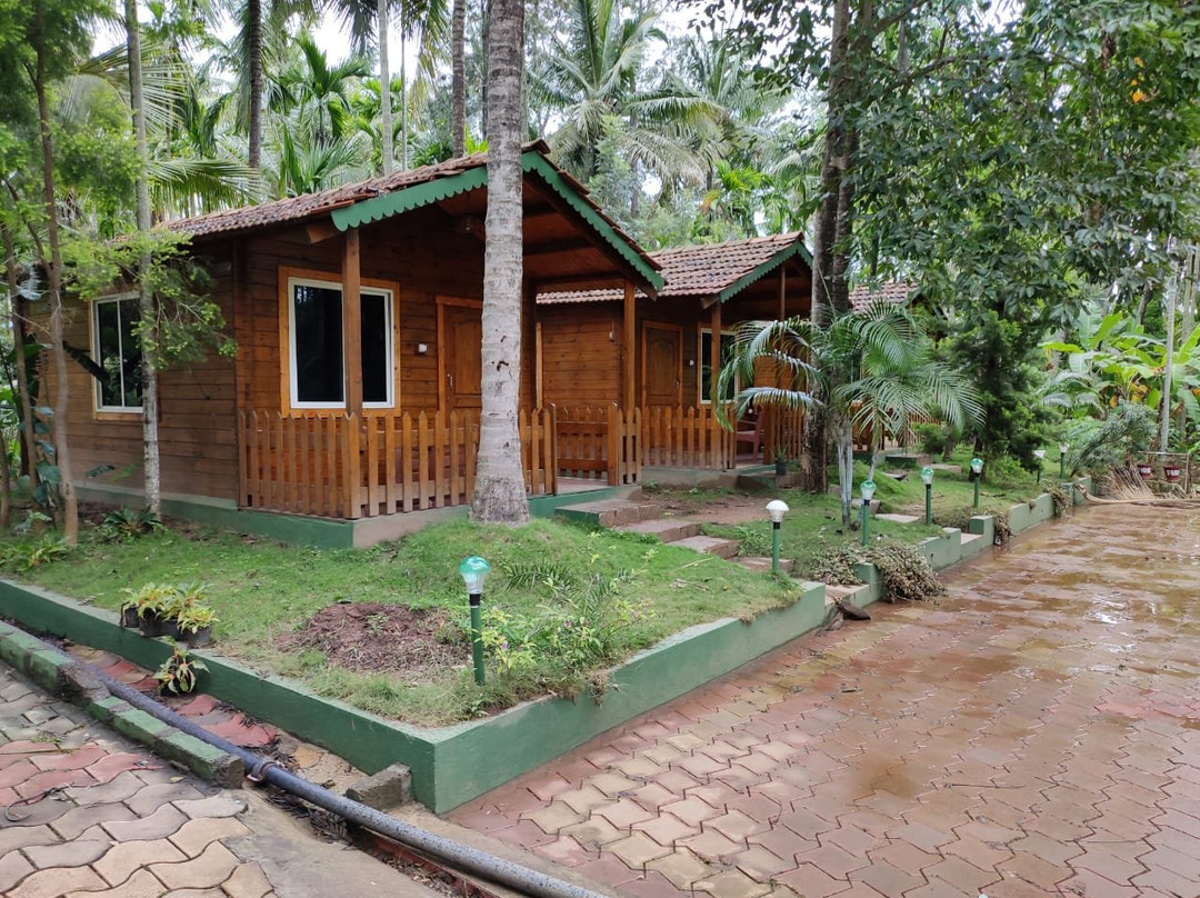 Bird of Paradise Homestay主图