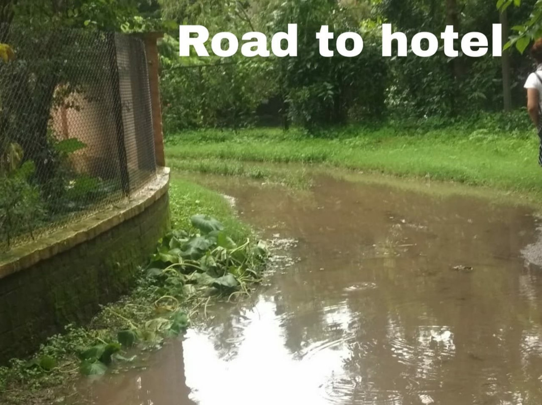 Midwood Breeze主图