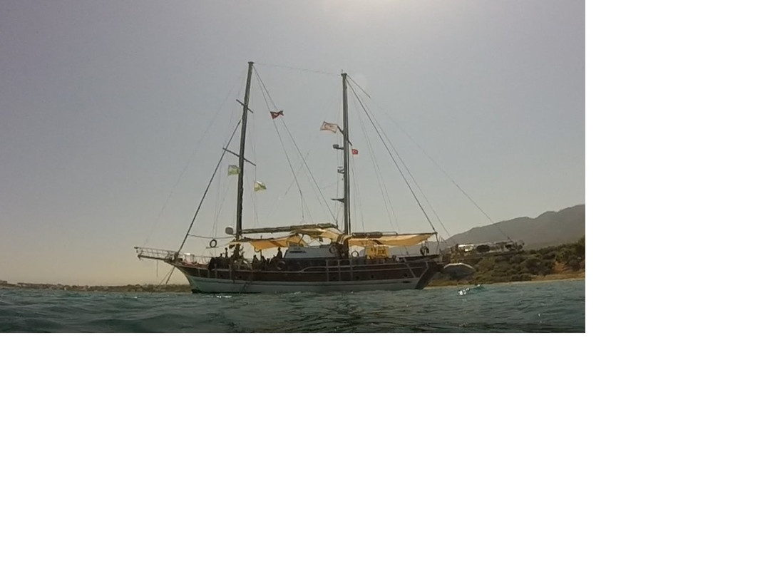 Vela Yachting景点图片