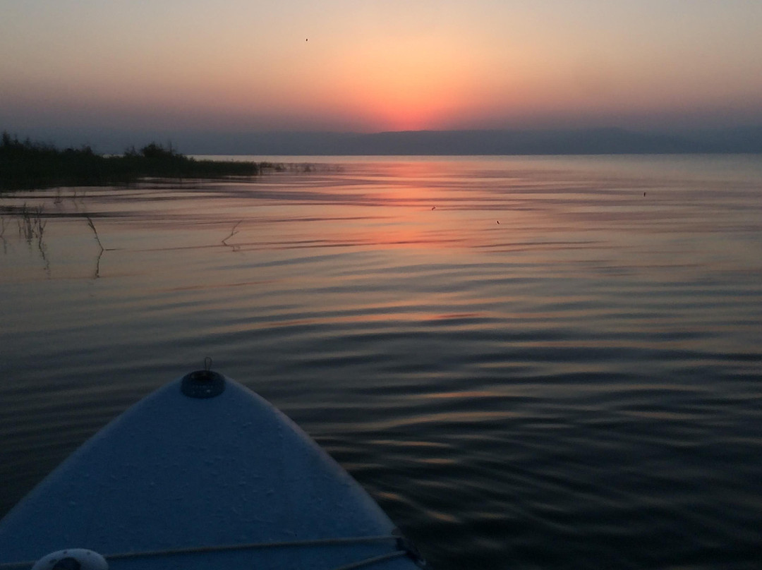 Mr Ananas Surf-Ginosar必去景点