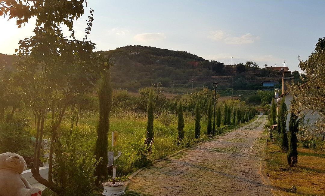 Guesthouse Lord Byron主图