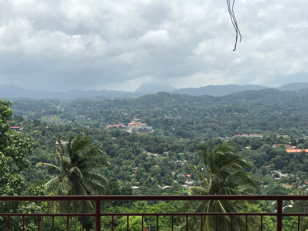 High View Homestay主图