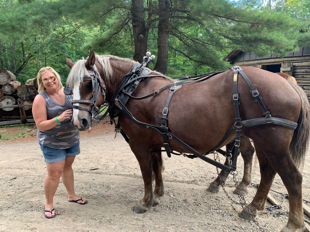 森林历史中心-大急流城必去景点