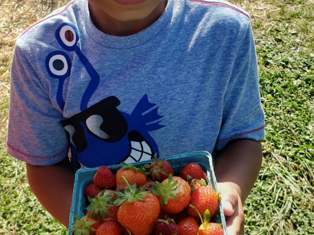 Russell Orchards-Ipswich必去景点