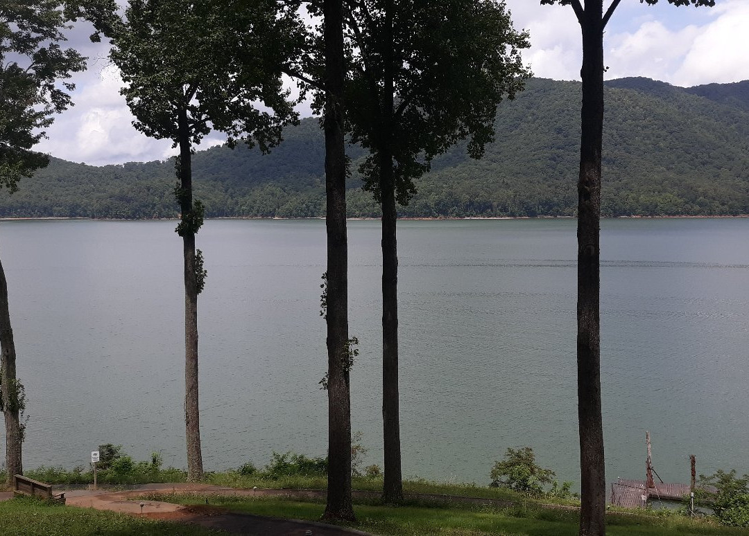 Watauga Lakeshore Resort & Marina景点图片