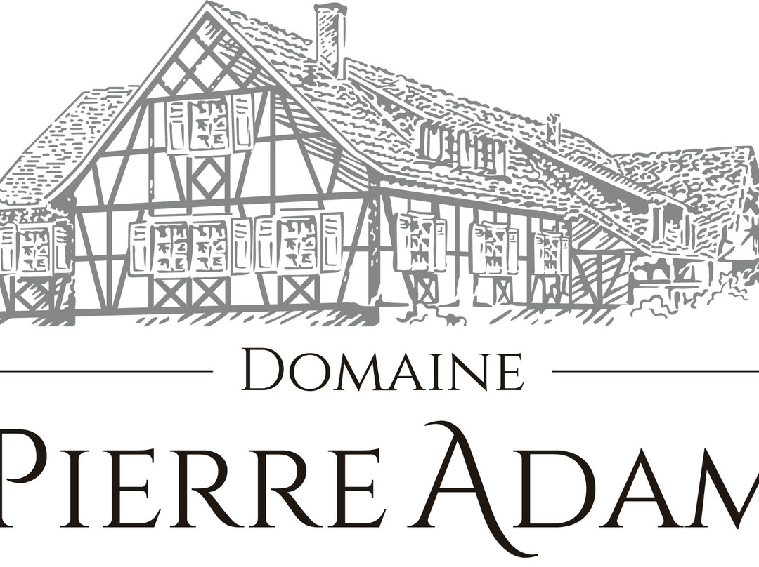 Domaine Pierre Adam景点图片